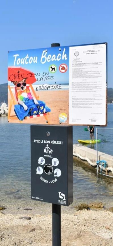 Studio Le Monroe Les Pieds Dans L'Eau 10 M De La Mer La Seyne-sur-Mer Esterno foto